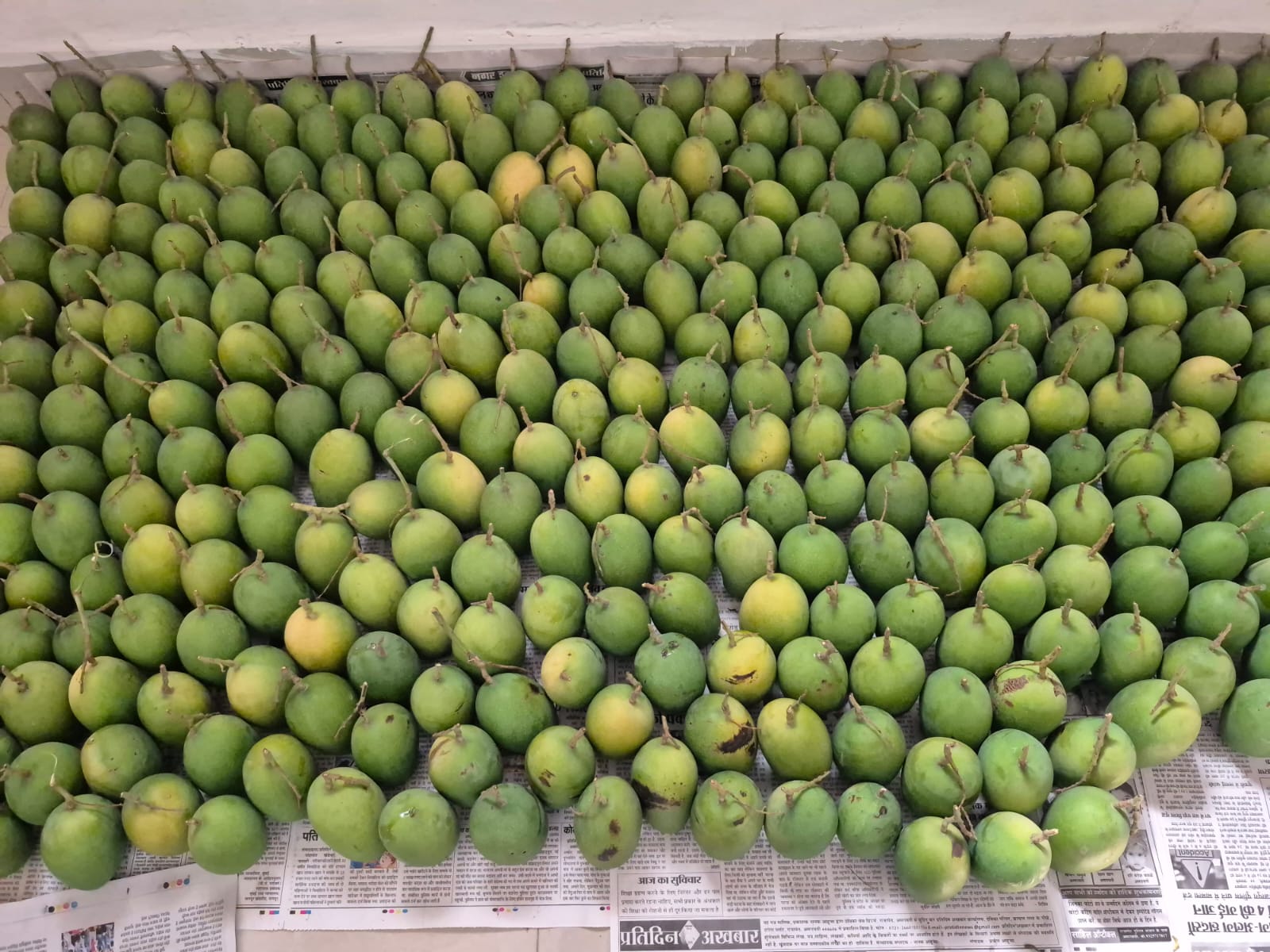 Handpicked Mangoes