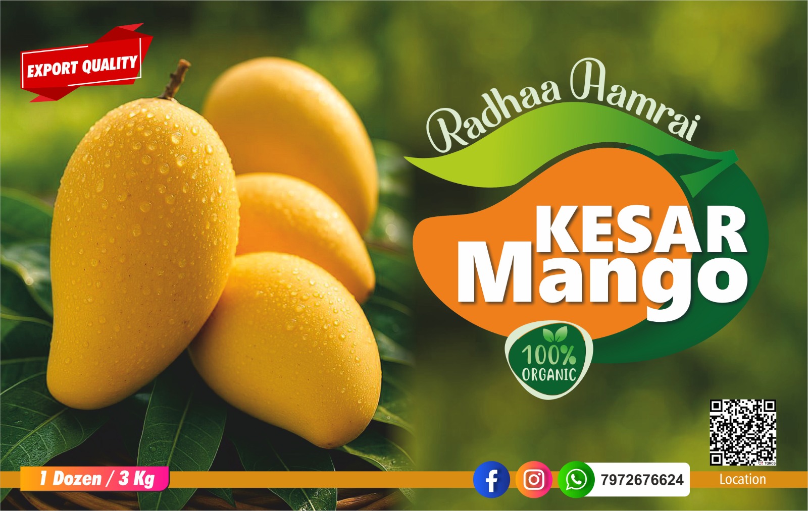 Kesar Mango Orchard
