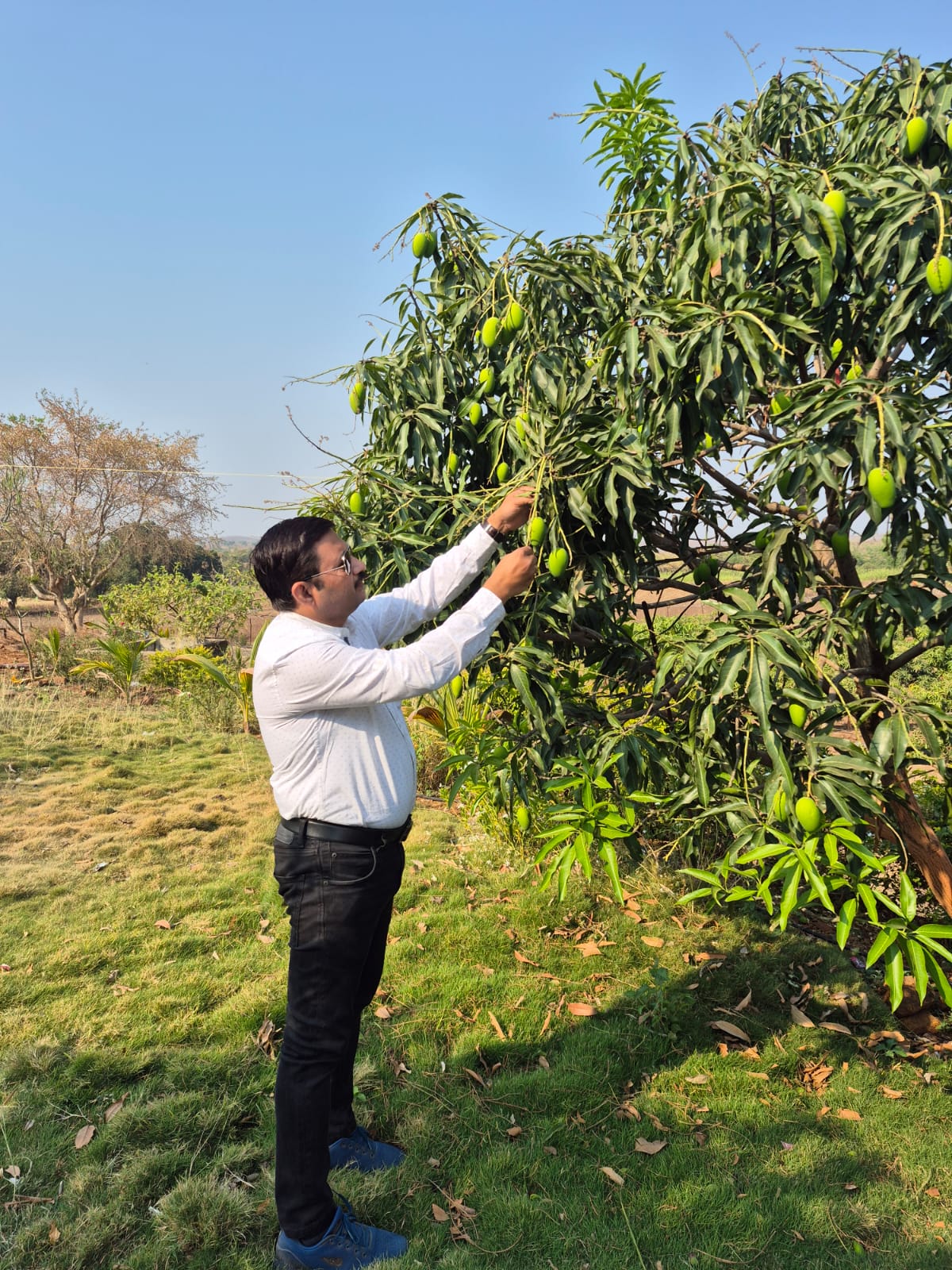 Natural Pest Management